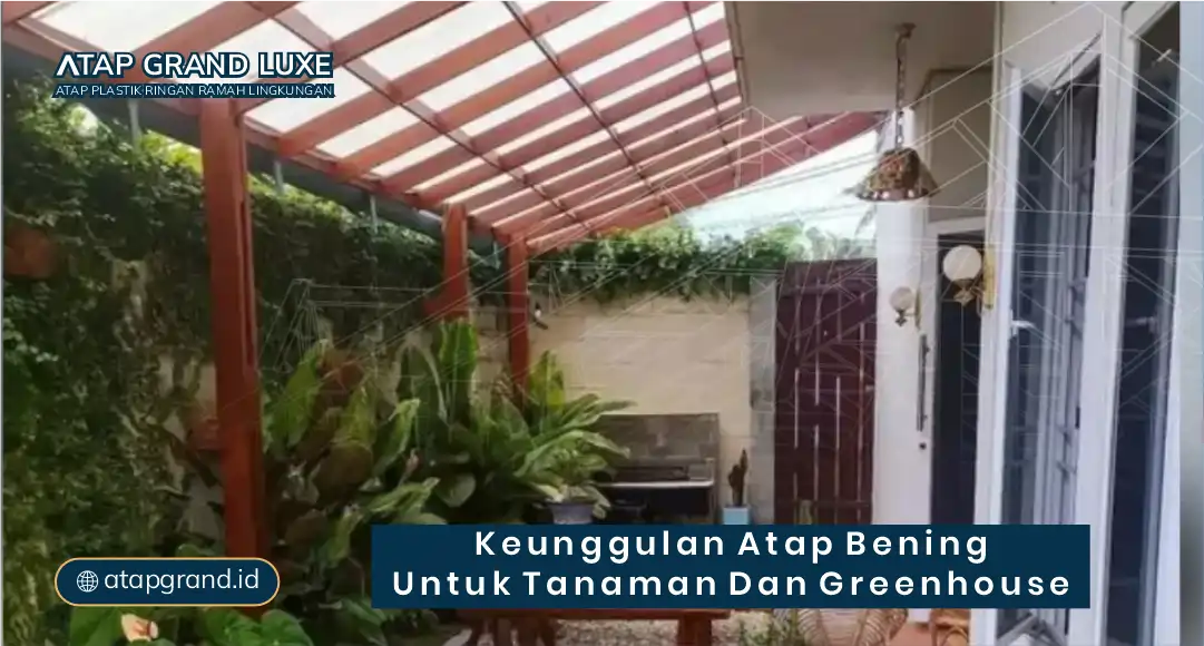 Keunggulan Atap Bening untuk Tanaman dan Greenhouse