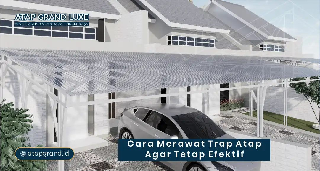 Cara Merawat Trap Atap agar Tetap Efektif