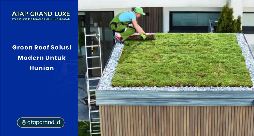 Green Roof Solusi Modern untuk Hunian