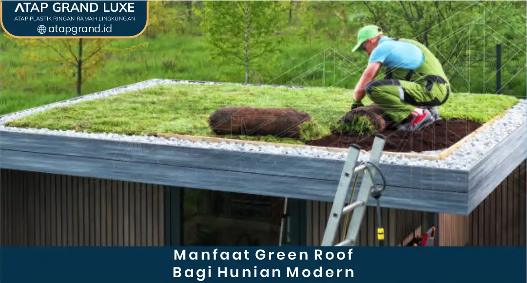 Manfaat Green Roof bagi Hunian Modern