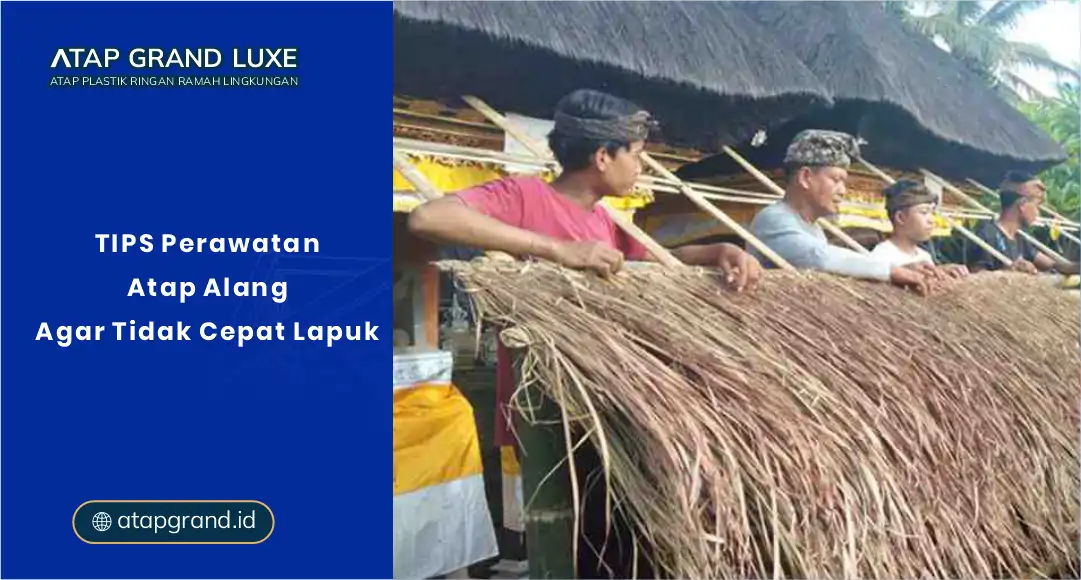 Tips Perawatan Atap Alang Agar Tidak Cepat Lapuk