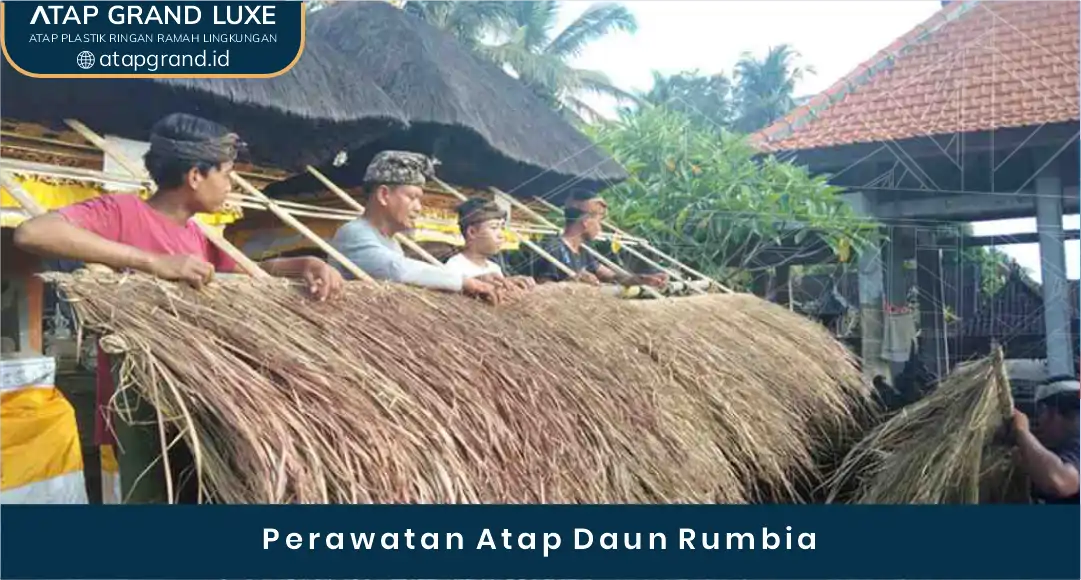 02 Perawatan Atap Daun Rumbia