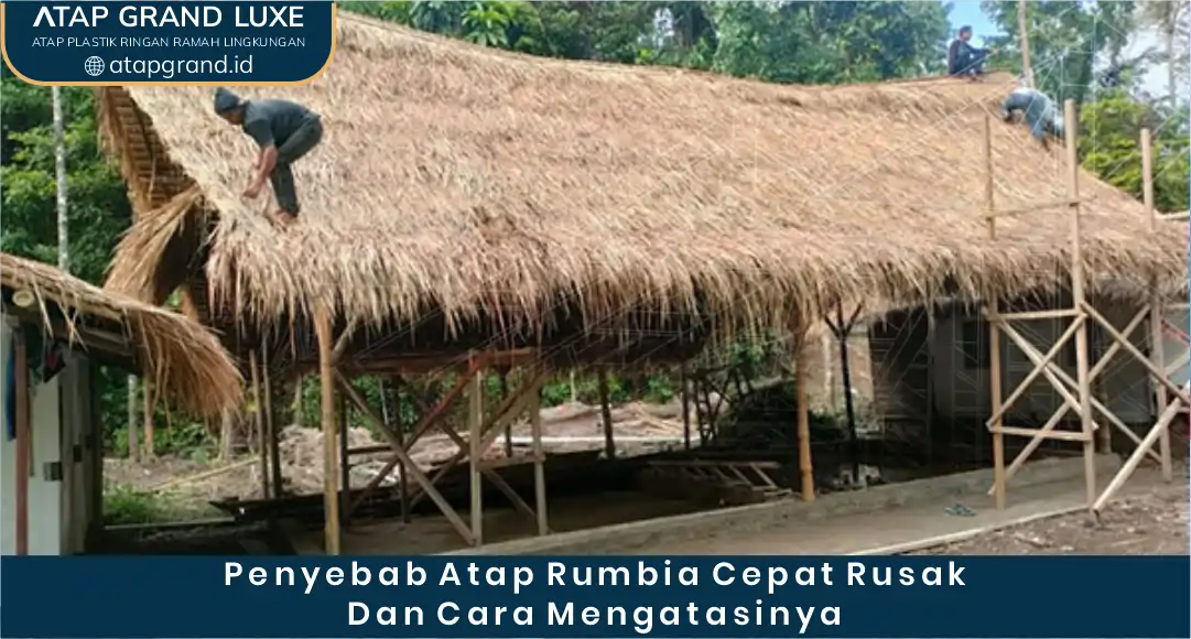 03 Penyebab Atap Rumbia Cepat Rusak Dan Cara Mengatasinya