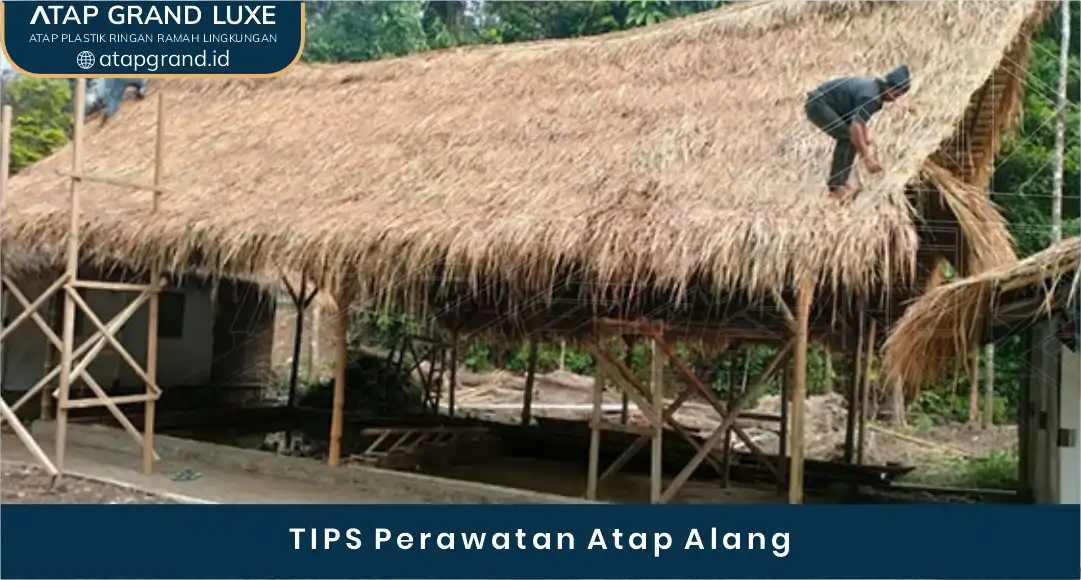 03 TIPS Perawatan Atap Alang