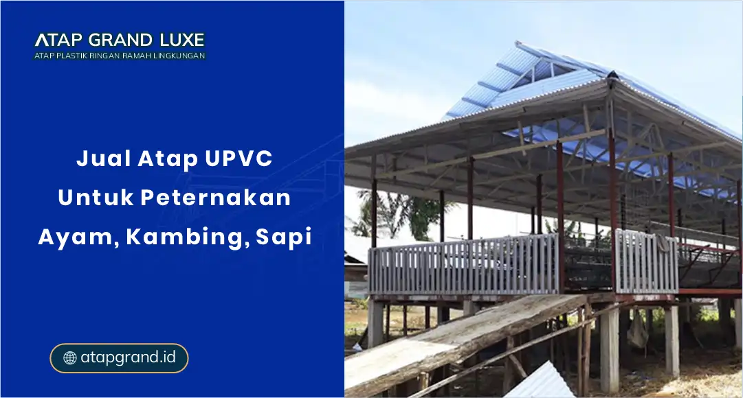 Jual Atap UPVC Untuk Peternakan Ayam, Kambing, Sapi