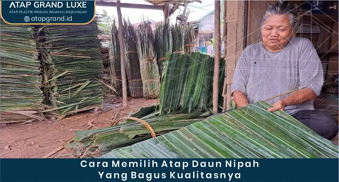 Cara Memilih Atap Daun Nipah yang Bagus Kualitasnya