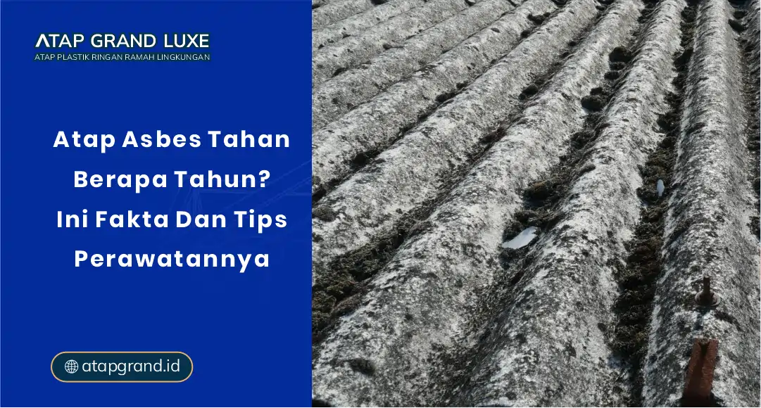 Atap Asbes Tahan Berapa Tahun? Ini Fakta dan Tips Perawatannya