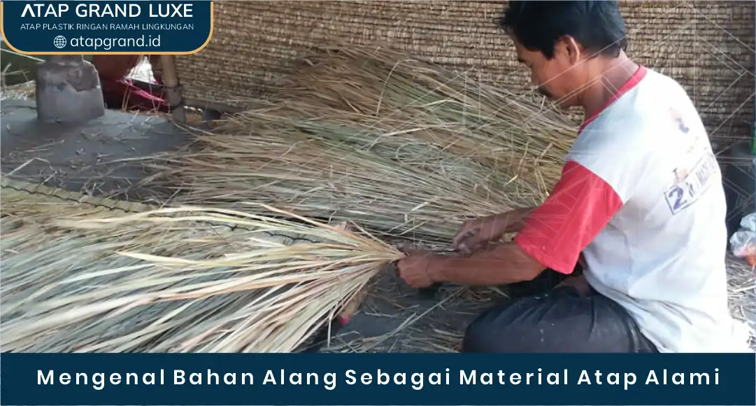 02 Mengenal Bahan Alang Sebagai Material Atap Alami