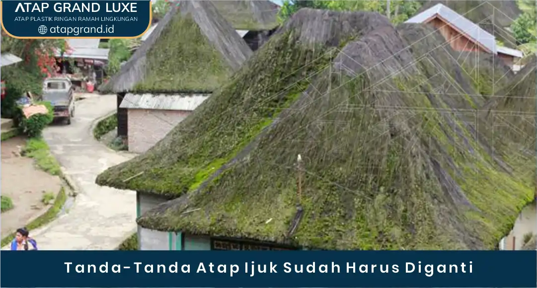 02 Tanda-Tanda Atap Ijuk Sudah Harus Diganti