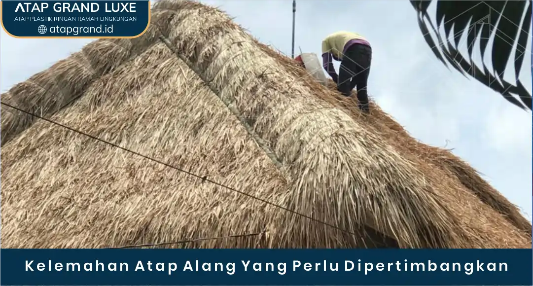 03 Kelemahan Atap Alang Yang Perlu Dipertimbangkan