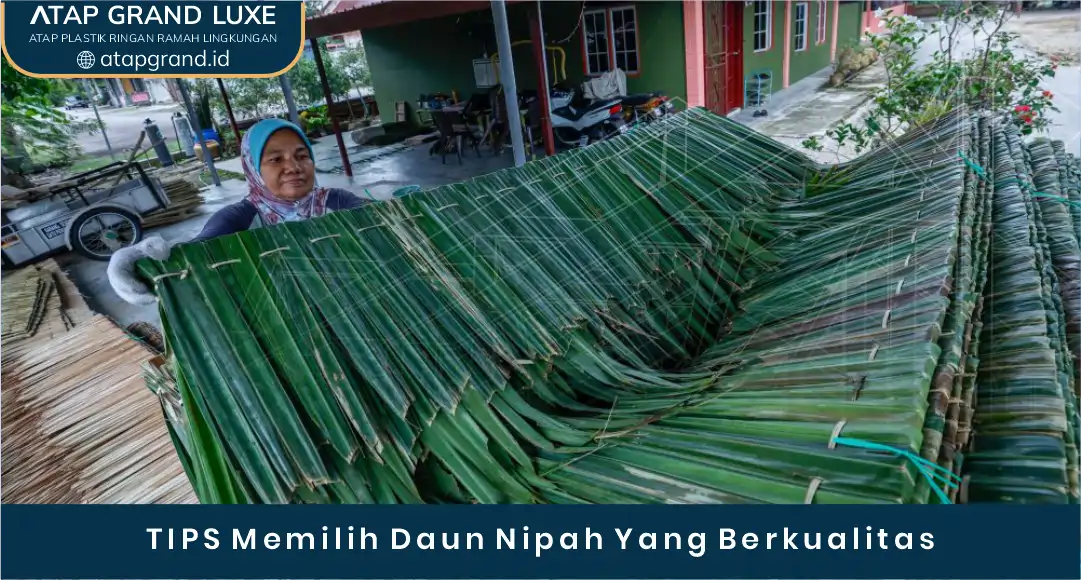 03 TIPS Memilih Daun Nipah Yang berkualitas