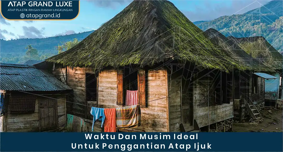 03 Waktu Dan Musim Ideal Untuk Penggantian Atap Ijuk