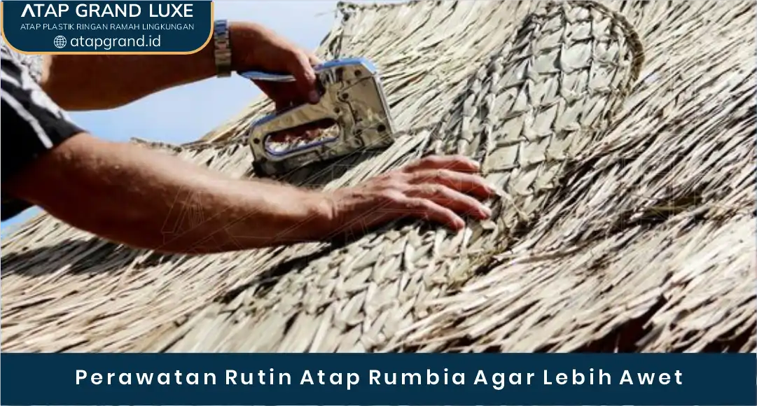 04 Perawatan Rutin Atap Rumbia Agar Lebih Awet