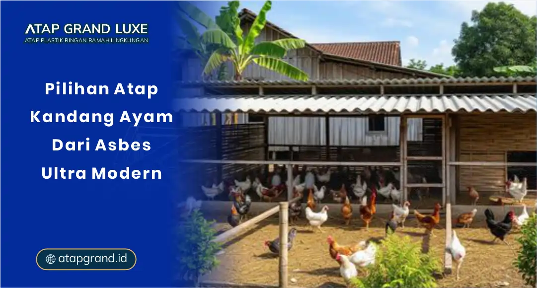 01 Pilihan Atap Kandang Ayam dari Asbes Ultra Modern 01 Pilihan Atap Kandang Ayam dari Asbes Ultra Modern