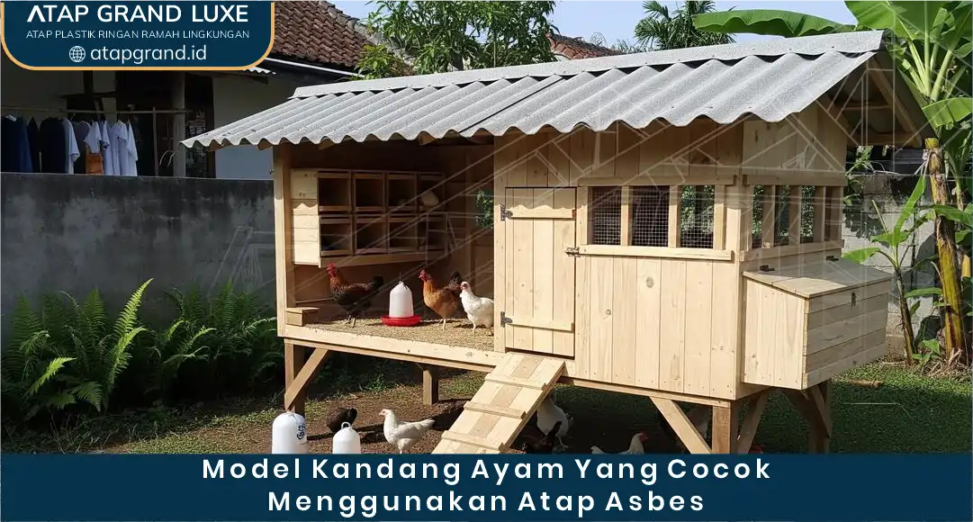 02 Model Kandang Ayam Yang Cocok Menggunakan Atap Asbes