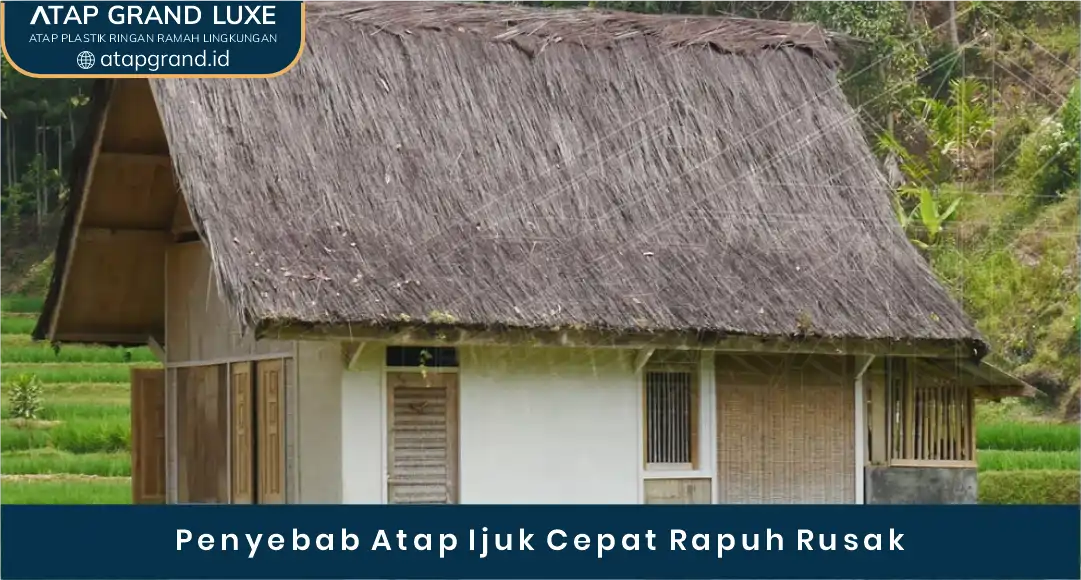 02 Penyebab Atap Ijuk Cepat Rapuh Rusak
