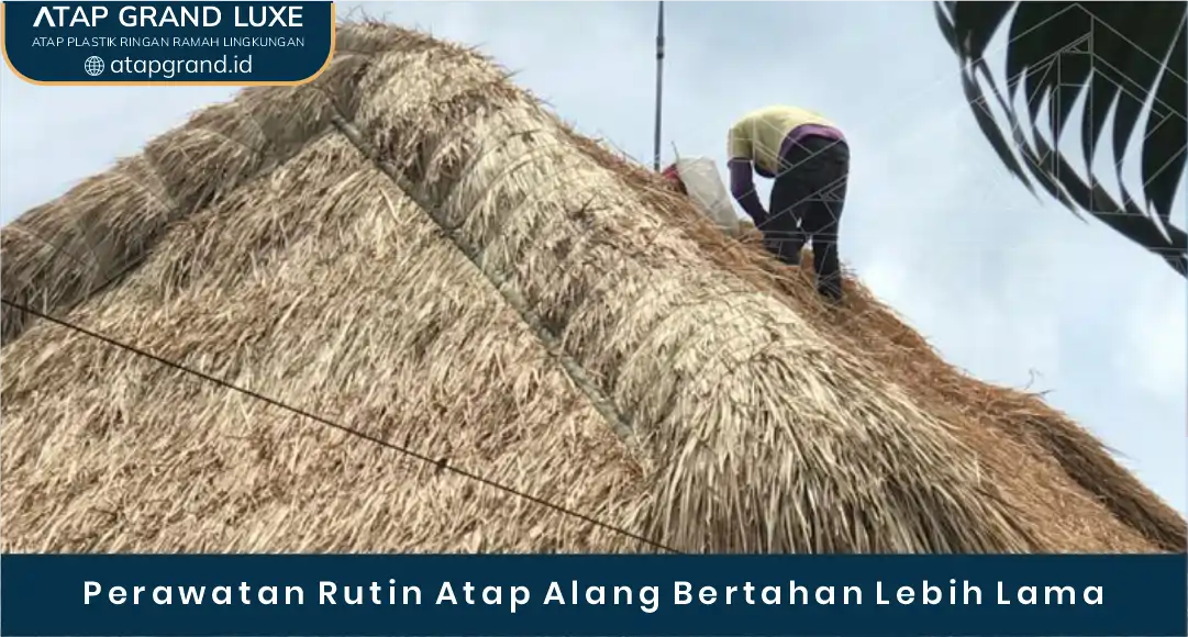 03 Perawatan Rutin Atap Alang Bertahan Lebih Lama
