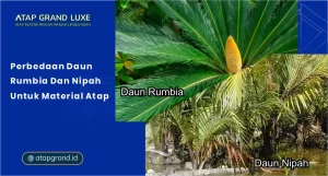 Perbedaan Daun Rumbia dan Nipah untuk Material Atap