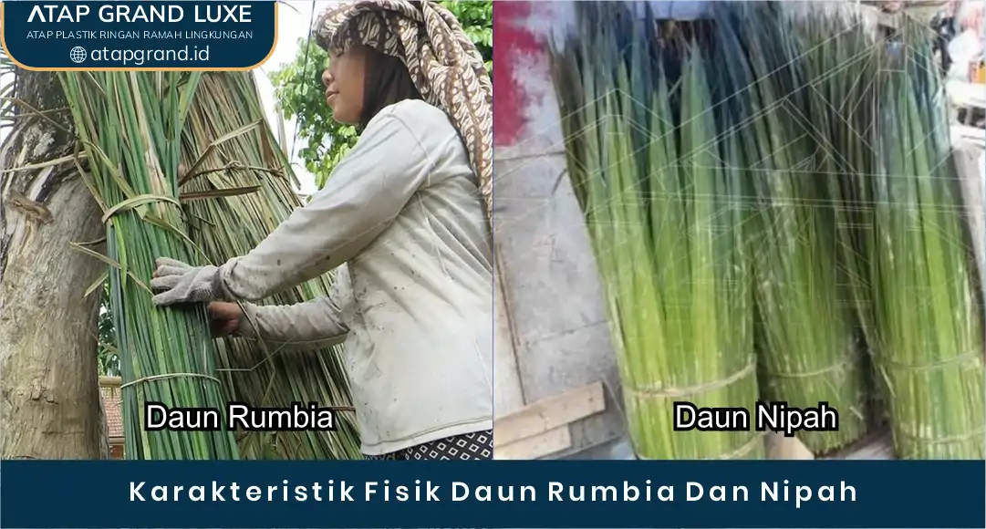 02 Karakteristik Fisik Daun Rumbia Dan Nipah