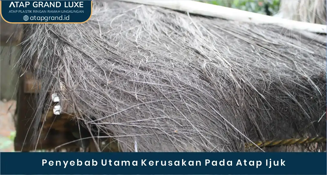 02 Penyebab Utama Kerusakan Pada Atap Ijuk