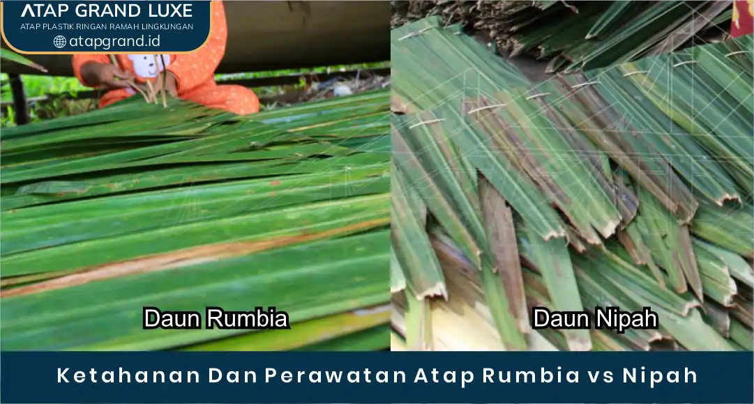 Ketahanan dan Perawatan Atap Rumbia vs Nipah