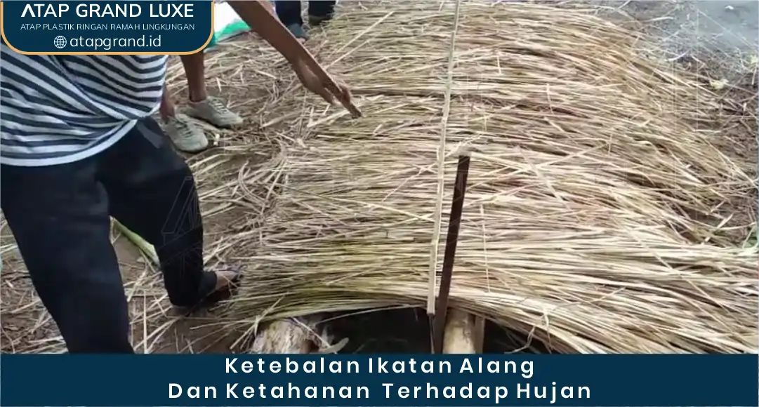 03 Ketebalan Ikatan Alang dan Ketahanan terhadap Hujan