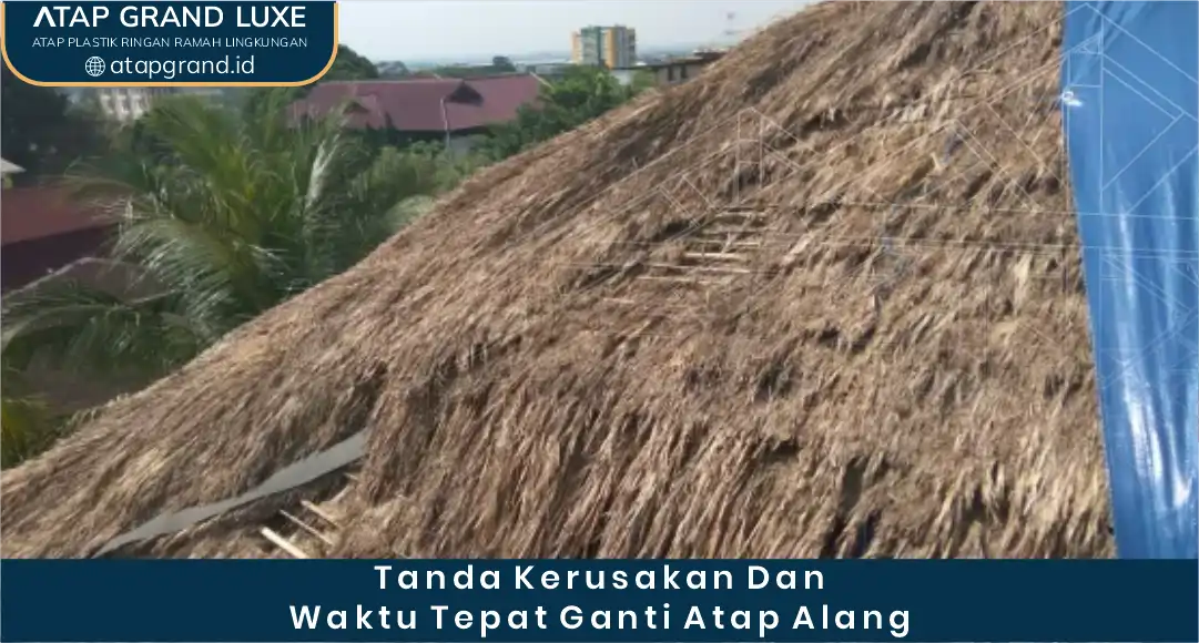 04 Tanda Kerusakan dan Waktu Tepat Ganti Atap Alang