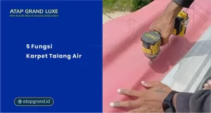 5 Fungsi Karpet Talang Air