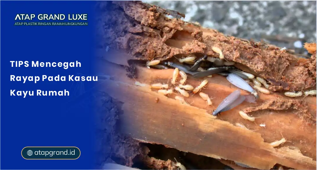 Tips Mencegah Rayap pada Kasau Kayu Rumah