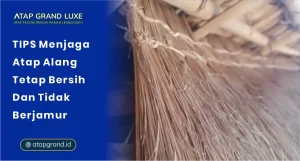Tips Menjaga Atap Alang Tetap Bersih dan Tidak Berjamur