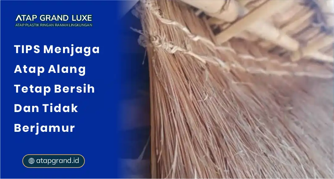 01 Tips Menjaga Atap Alang Tetap Bersih dan Tidak Berjamur