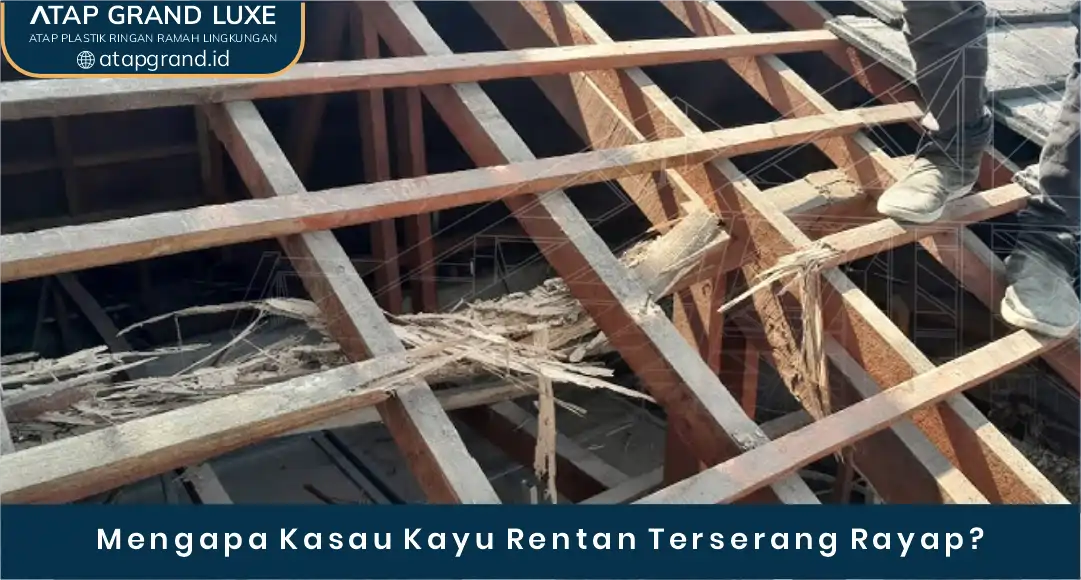 02 Mengapa Kasau Kayu Rentan Terserang Rayap