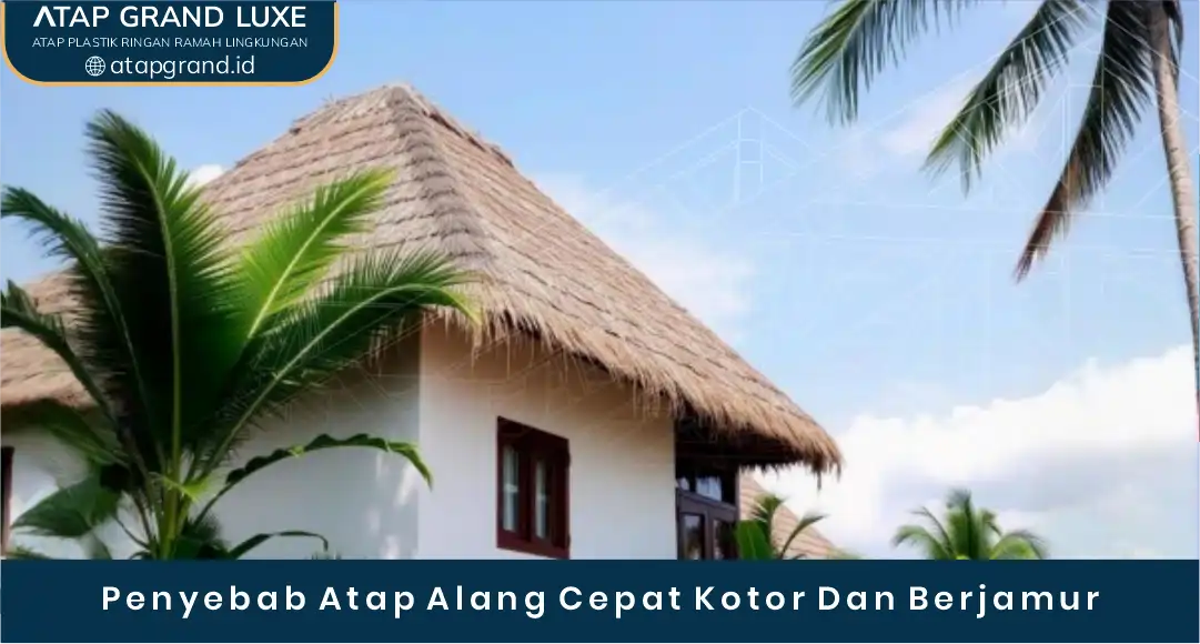 02 Penyebab Atap Alang Cepat Kotor Dan Berjamur