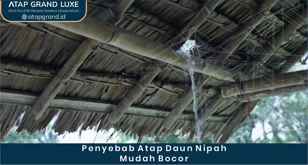 02 Penyebab Atap Daun Nipah Mudah Bocor