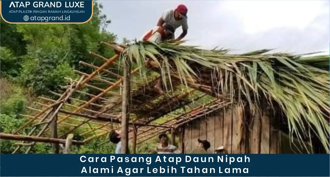 03 Cara Pemasangan Atap Daun Nipah Alami agar Lebih Tahan Lama