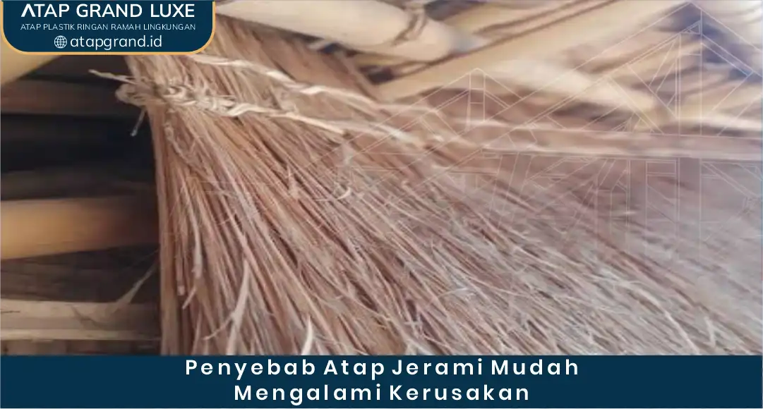 03 Penyebab Atap Jerami Mudah Mengalami Kerusakan