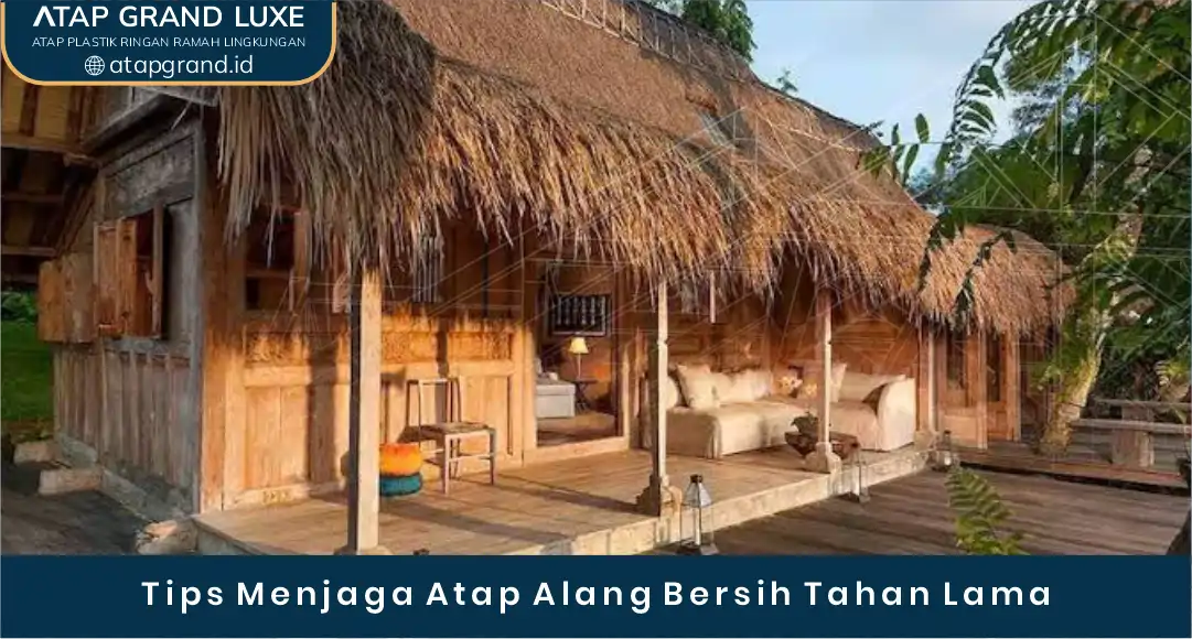 03 Tips Menjaga Atap Alang Bersih Tahan Lama