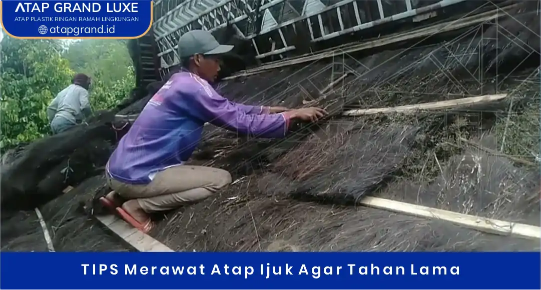 04 TIPS Merawat Atap Ijuk Agar Tahan Lama