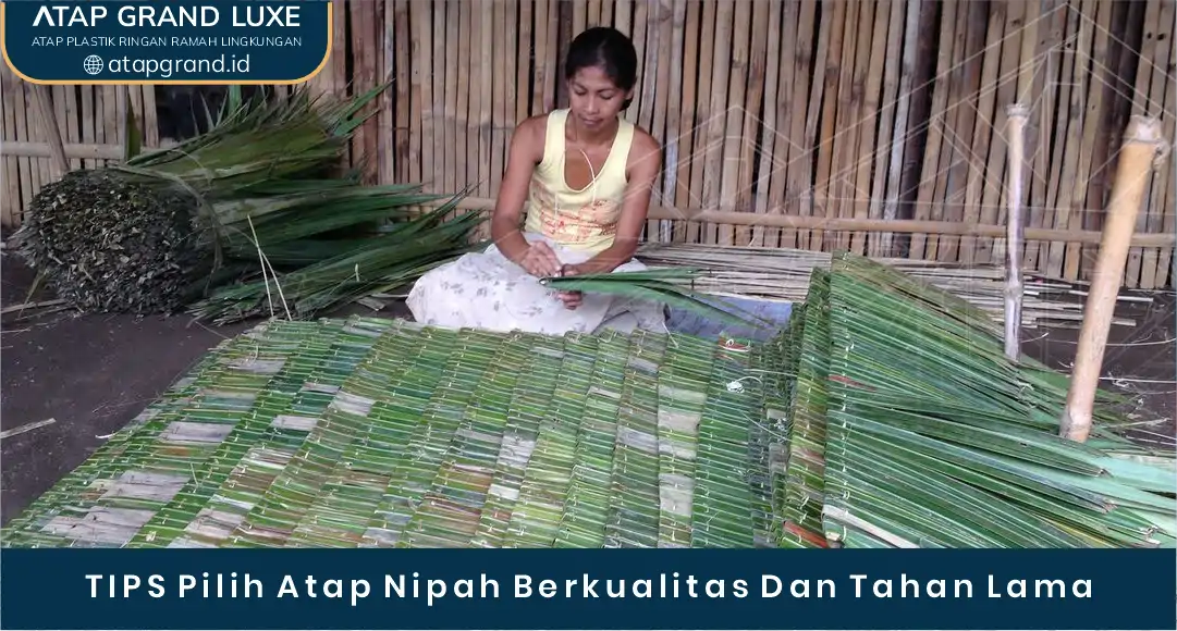 3. Tips Pilih Atap Nipah Berkualitas dan Tahan Lama