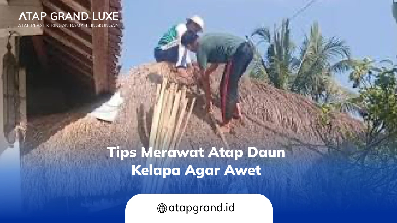 Tips Merawat Atap Daun Kelapa agar Awet-(Compressify.io)