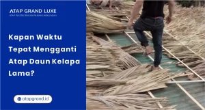Kapan Waktu Tepat Mengganti Atap Daun Kelapa Lama?