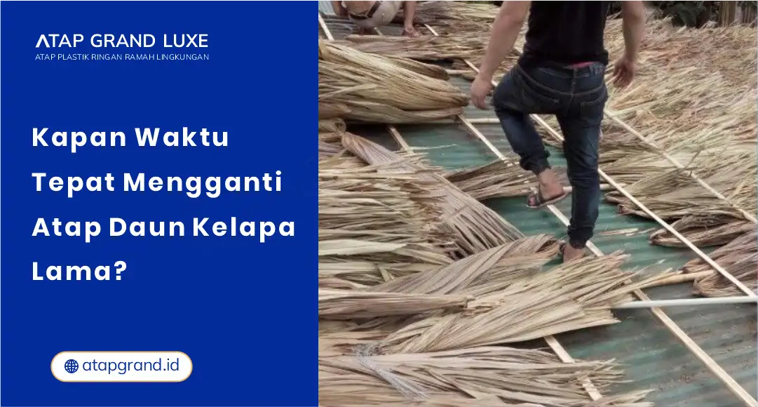 01 Kapan Waktu Tepat Mengganti Atap Daun Kelapa Lama