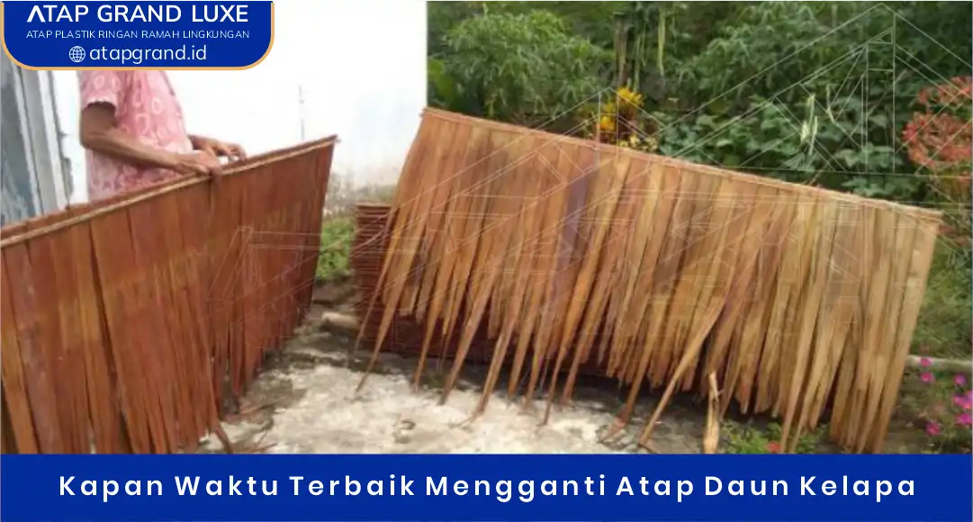 02 Kapan Waktu Terbaik Mengganti Atap Daun Kelapa