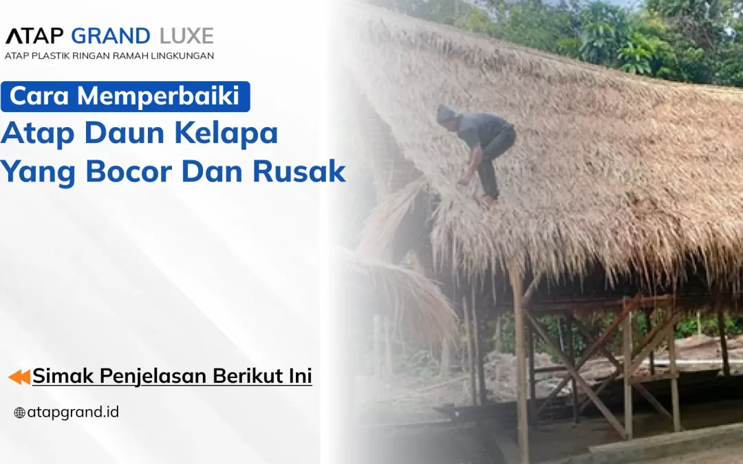 Cara Memperbaiki Atap Daun Kelapa yang Bocor dan Rusak