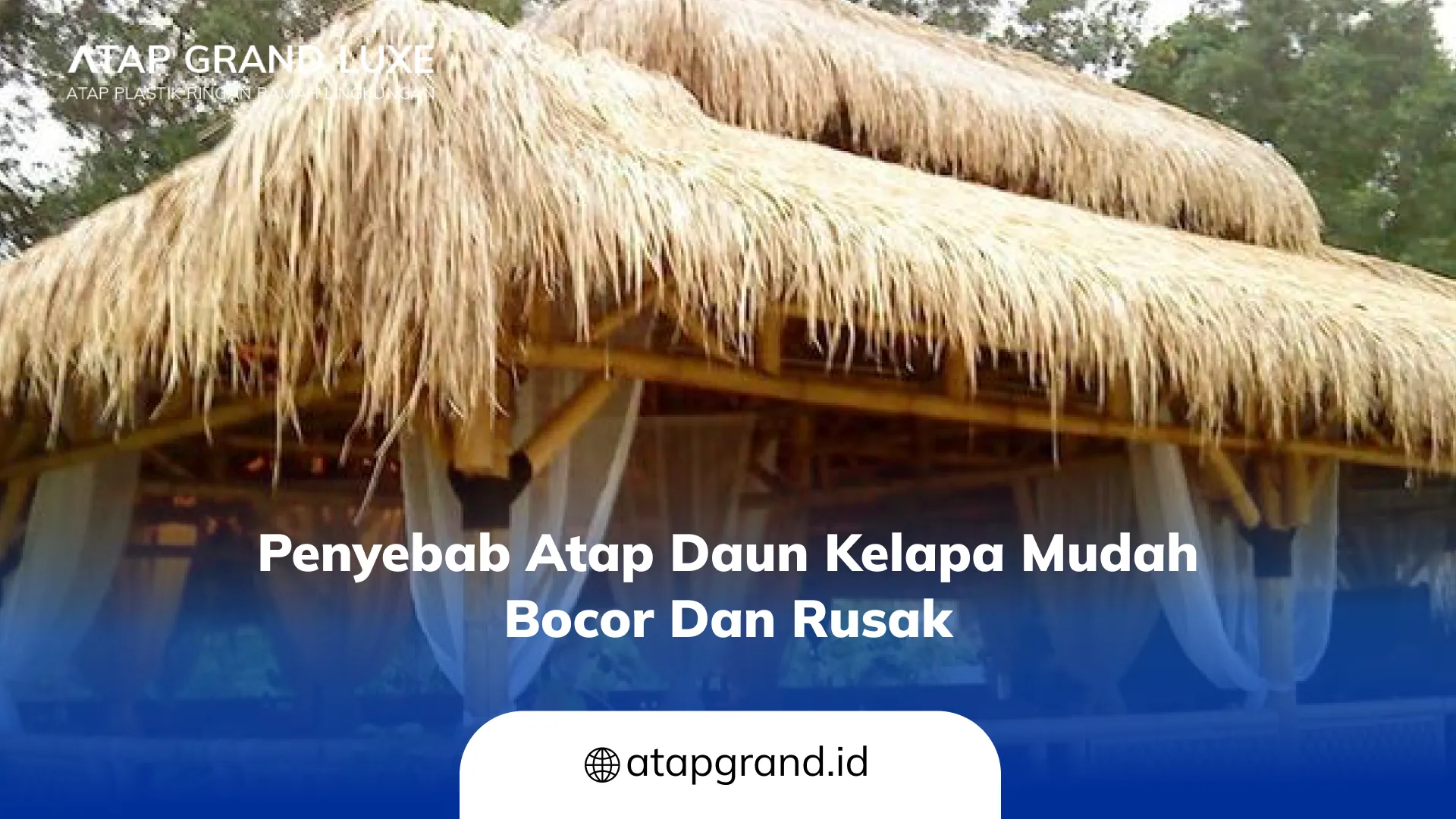 Penyebab Atap Daun Kelapa Mudah Bocor dan Rusak