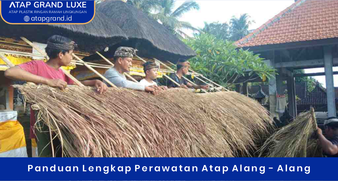 Panduan Lengkap Perawatan Atap Alang Alang
