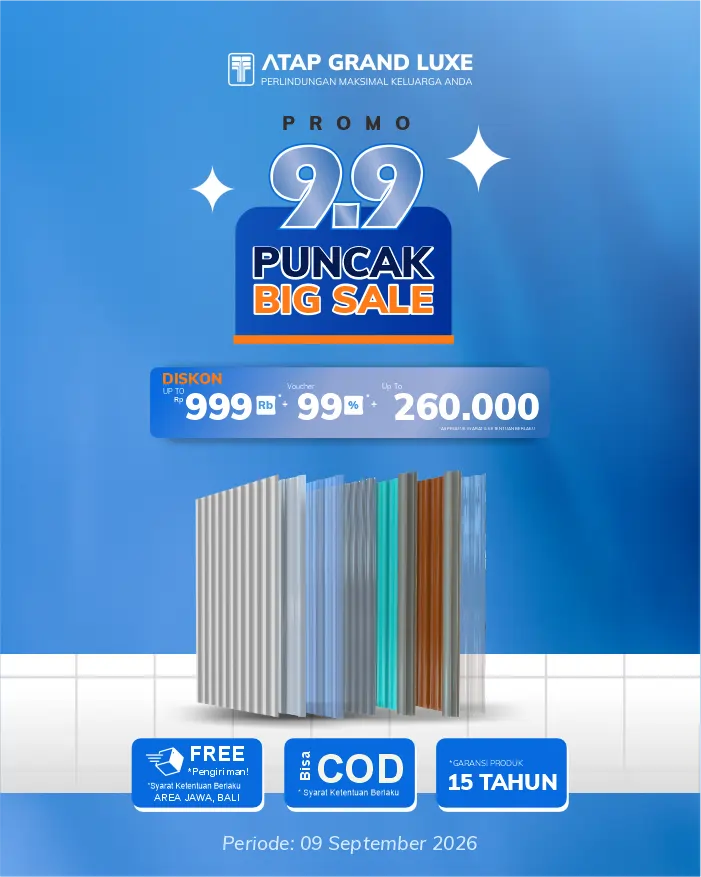 9.9 Puncak Big Sale (Web Mobile)