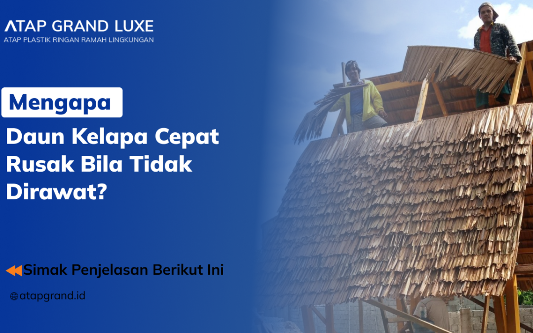 Mengapa Daun Kelapa Cepat Rusak Bila Tidak Dirawat?
