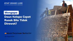 Mengapa Daun Kelapa Cepat Rusak Bila Tidak Dirawat?