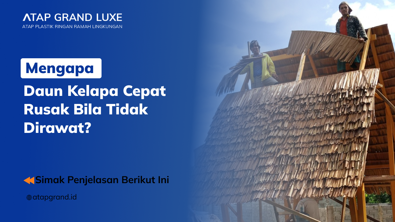 01 Mengapa Daun Kelapa Cepat Rusak Bila Tidak Dirawat_